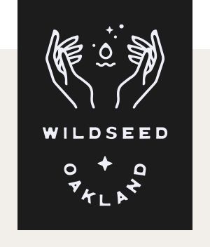 dm-wildseed-testimonial2