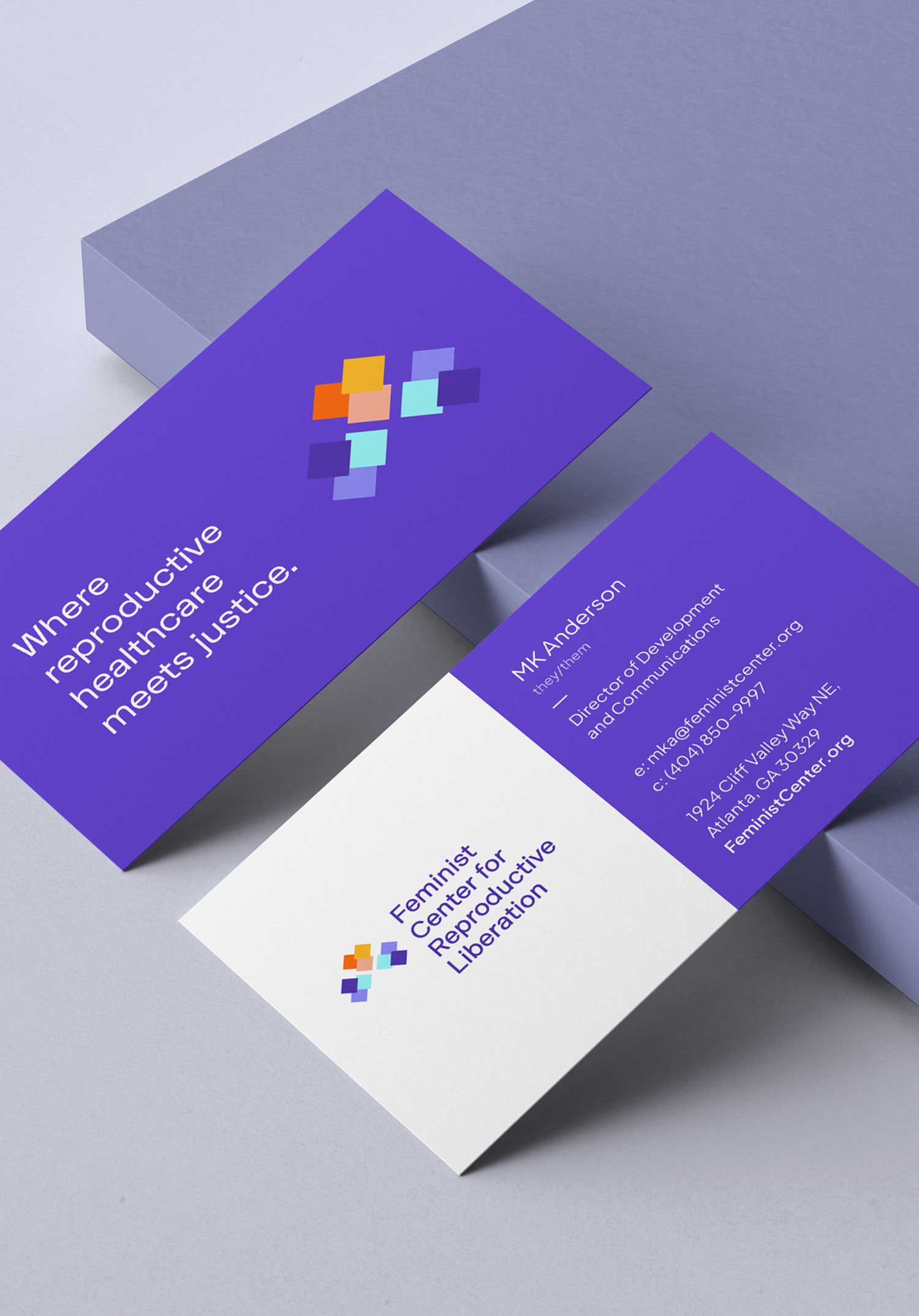 feminist-casestudy11