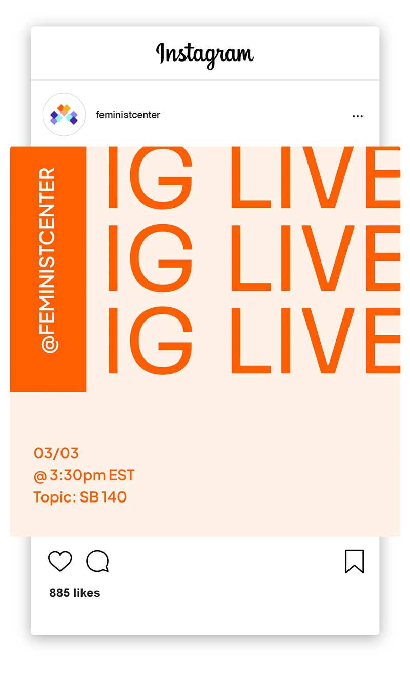 feminist-casestudy33