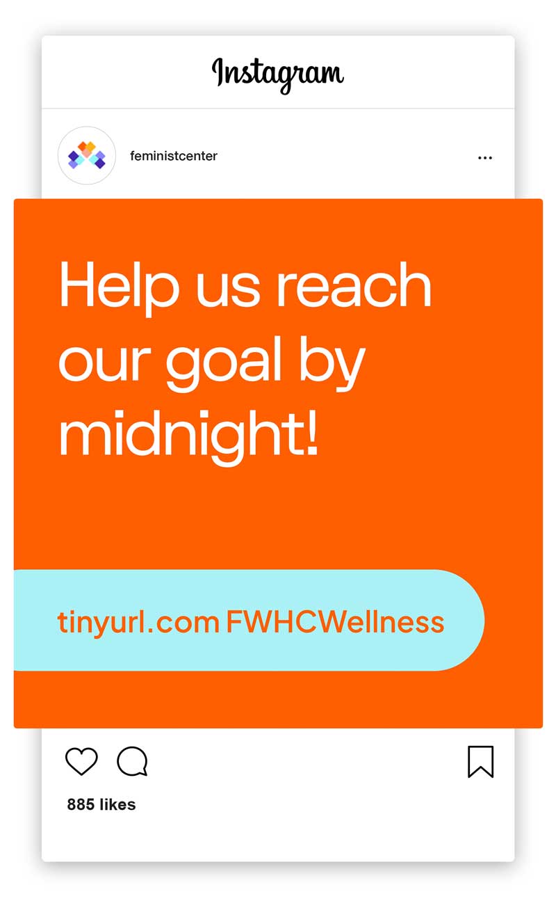 feminist-casestudy35