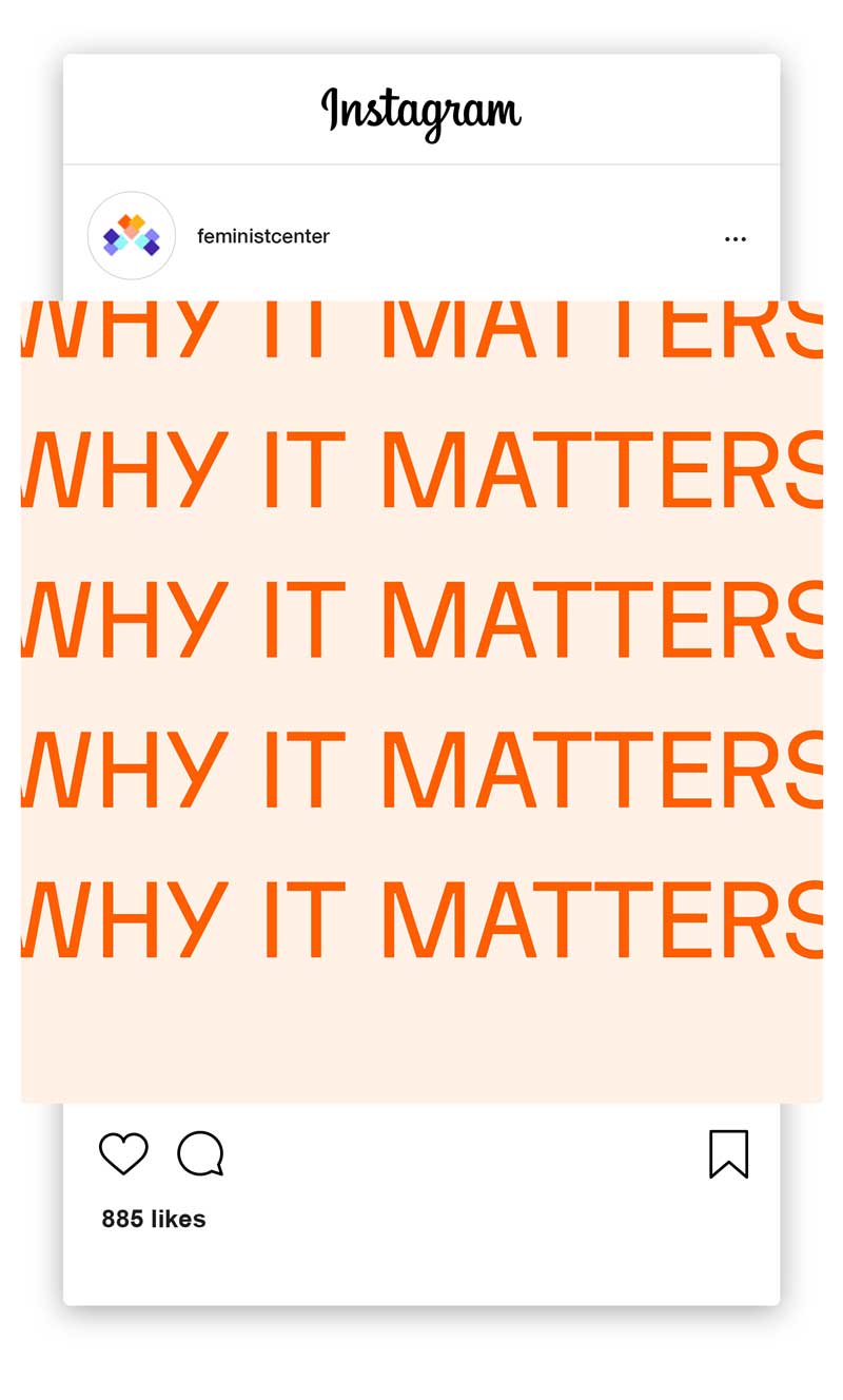 feminist-casestudy36