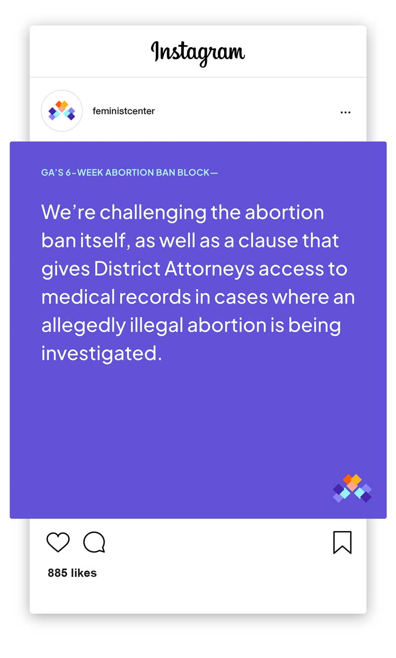 feminist-casestudy41