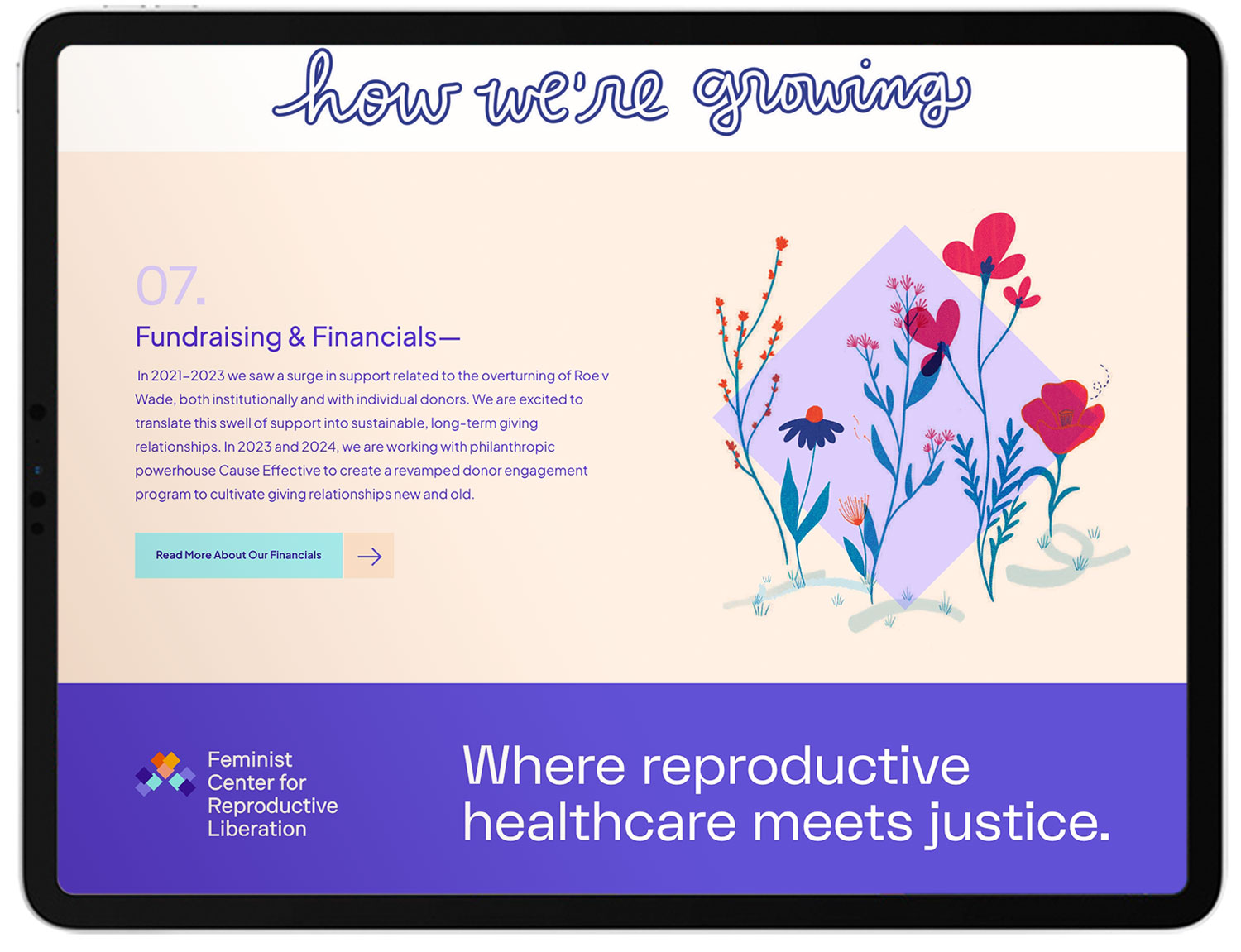 feminist-casestudy51