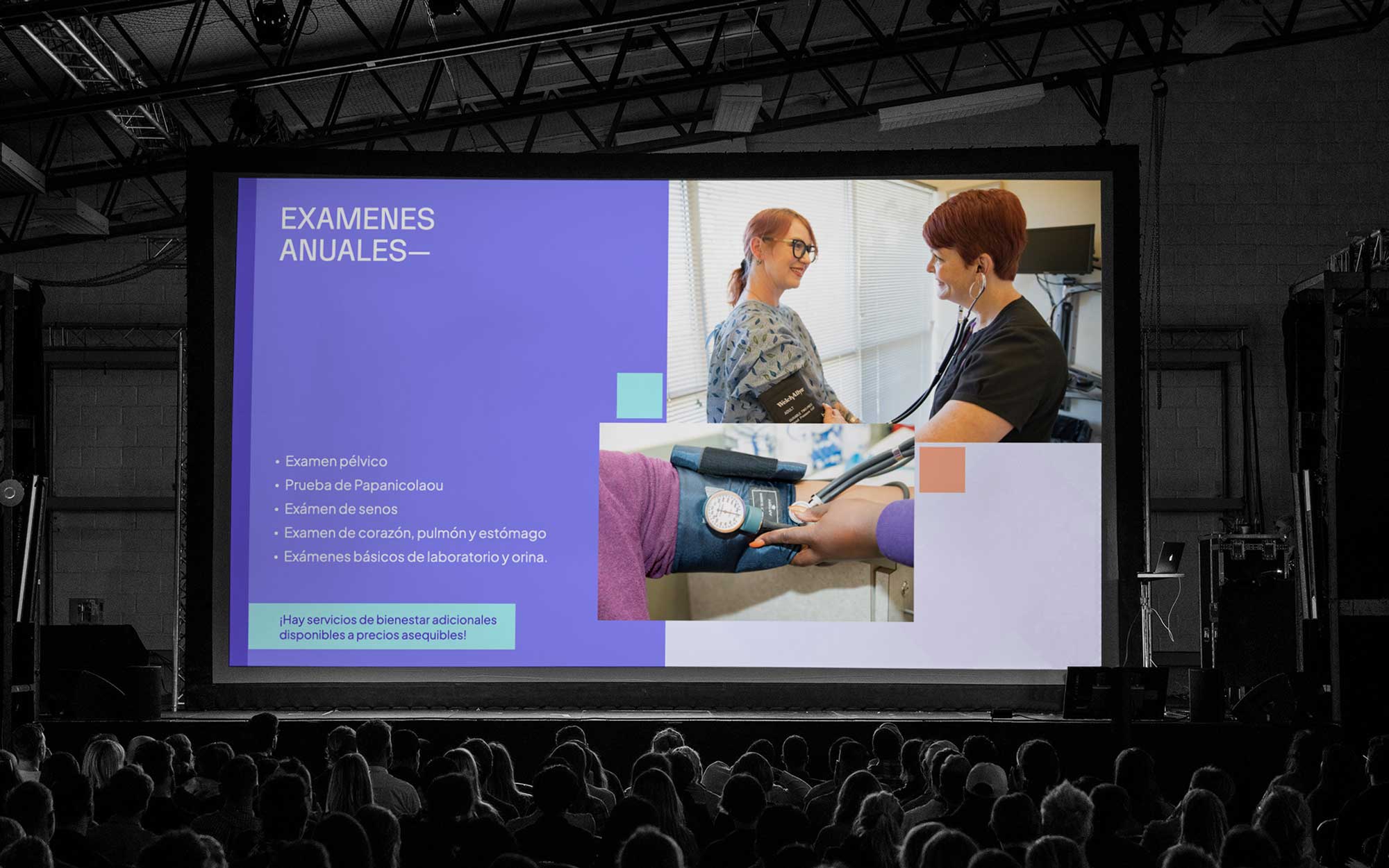 feminist-casestudy52