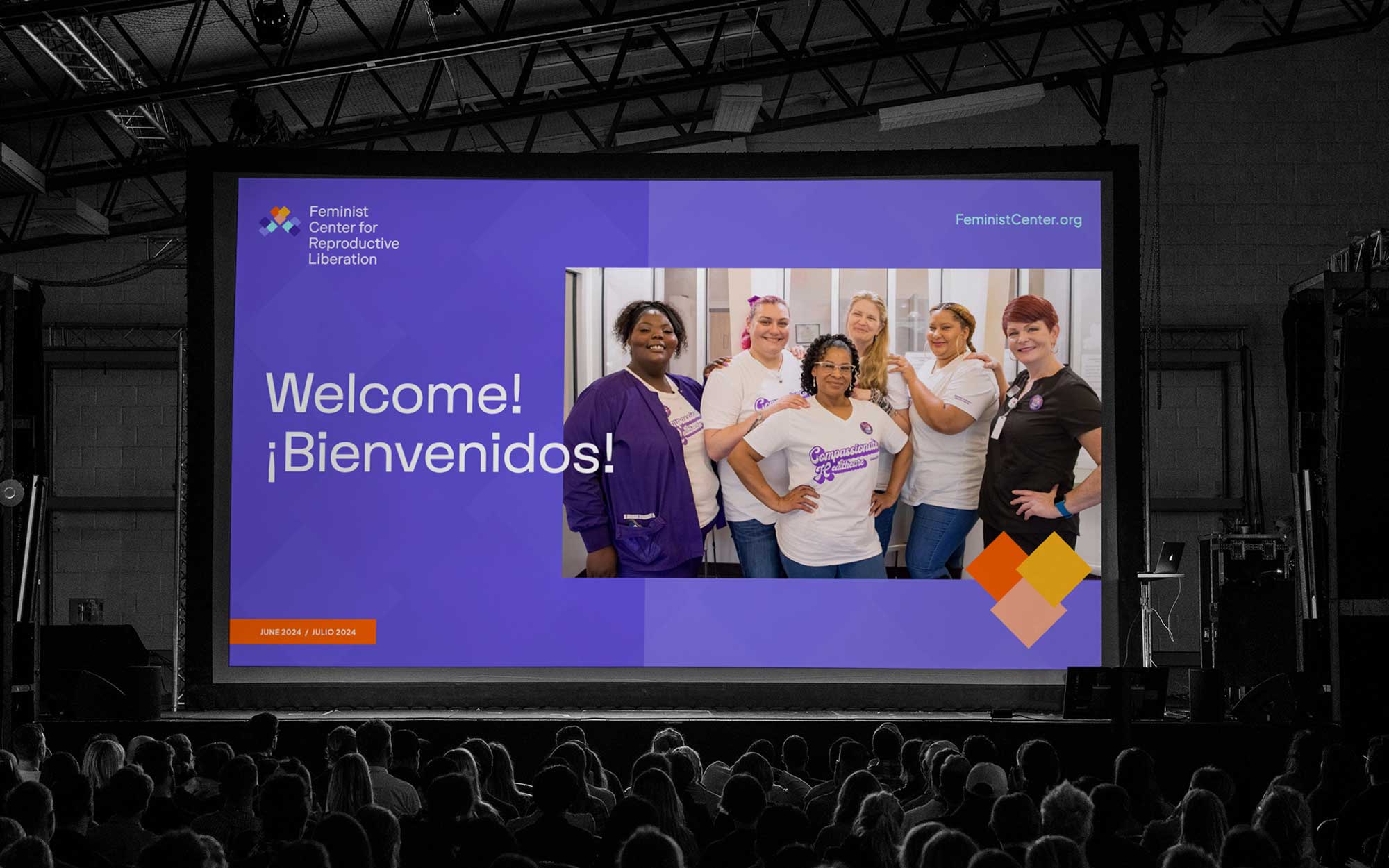 feminist-casestudy53