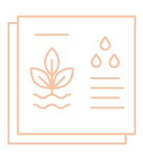 sdl-icon2-strategic-color