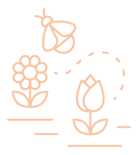 sdl-icon3-facilitating-color