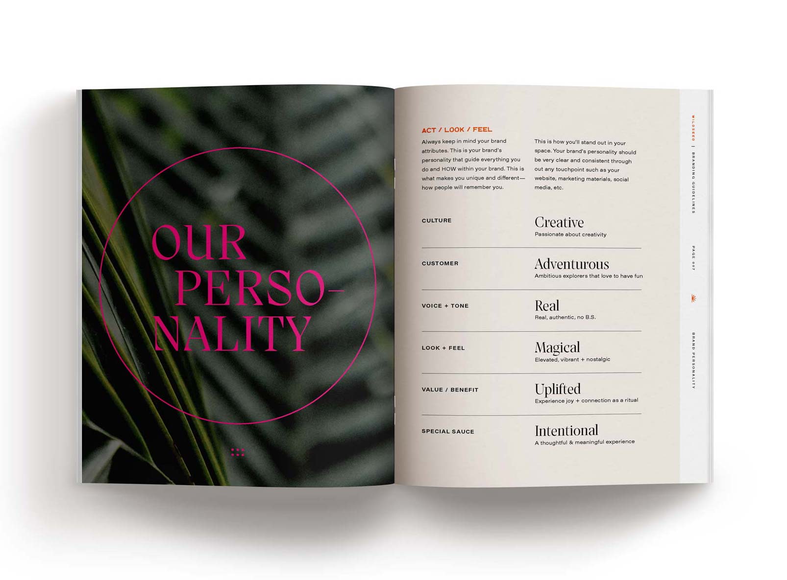 wildseed-casestudy16