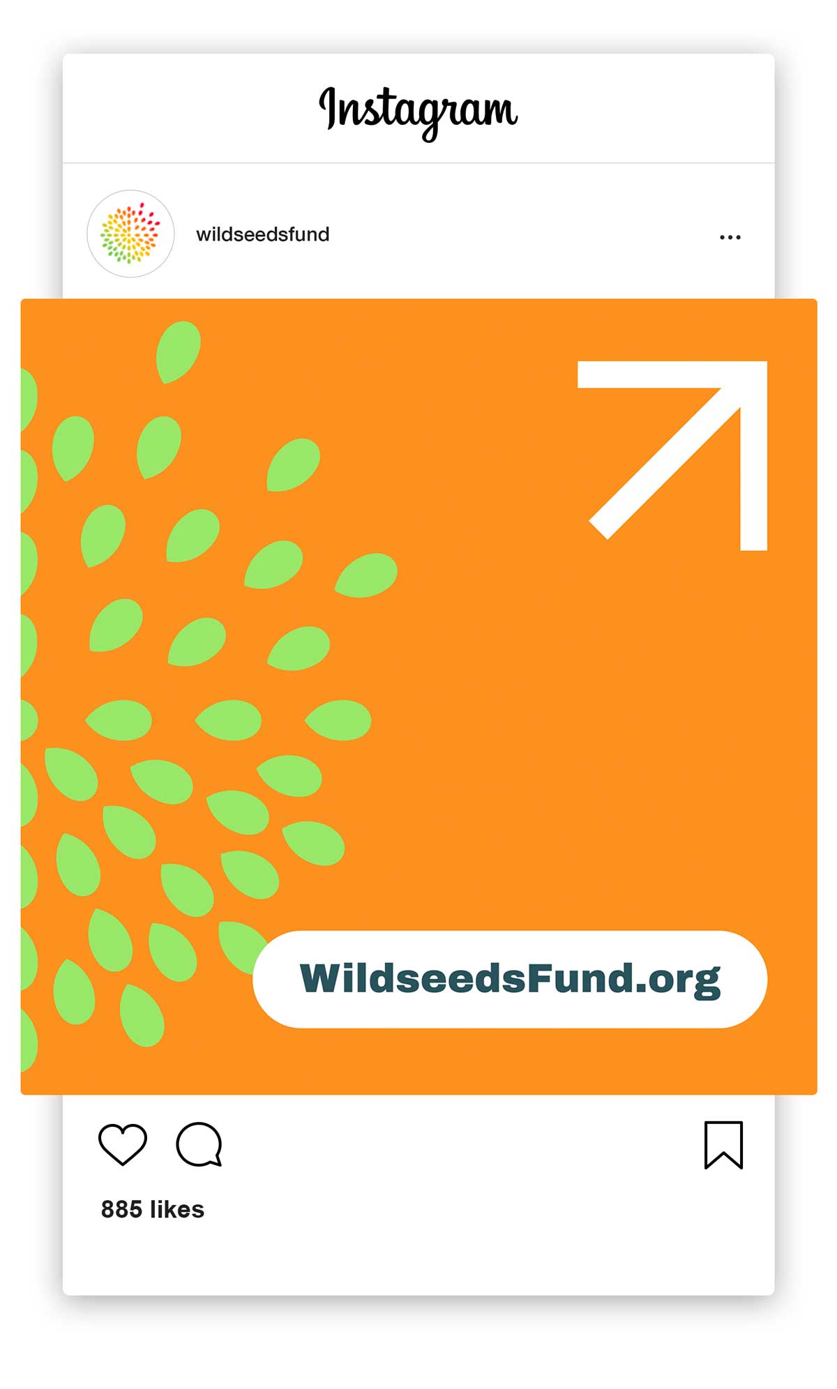 wildseedsfund-casestudy16