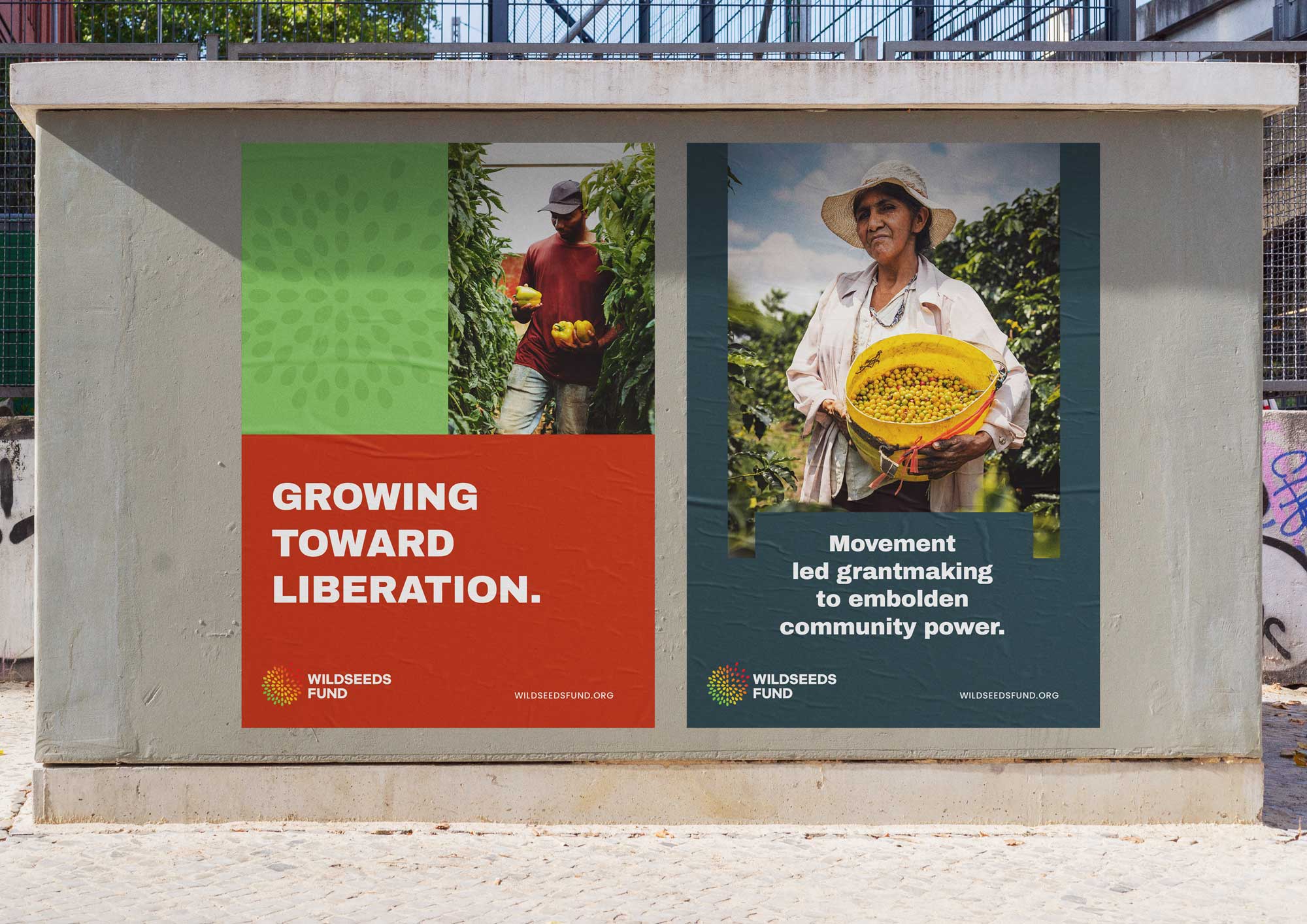 wildseedsfund-casestudy2