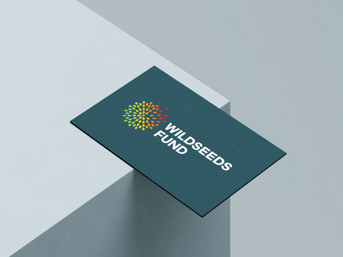 wildseedsfund-casestudy7