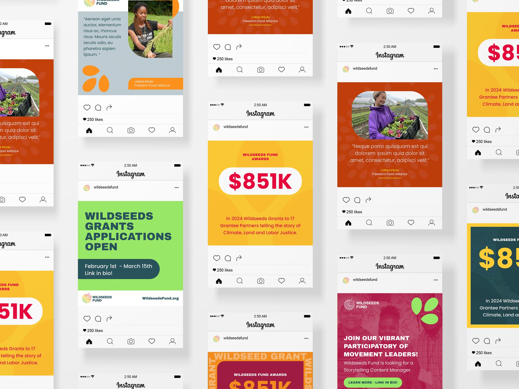 wildseedsfund-casestudy8