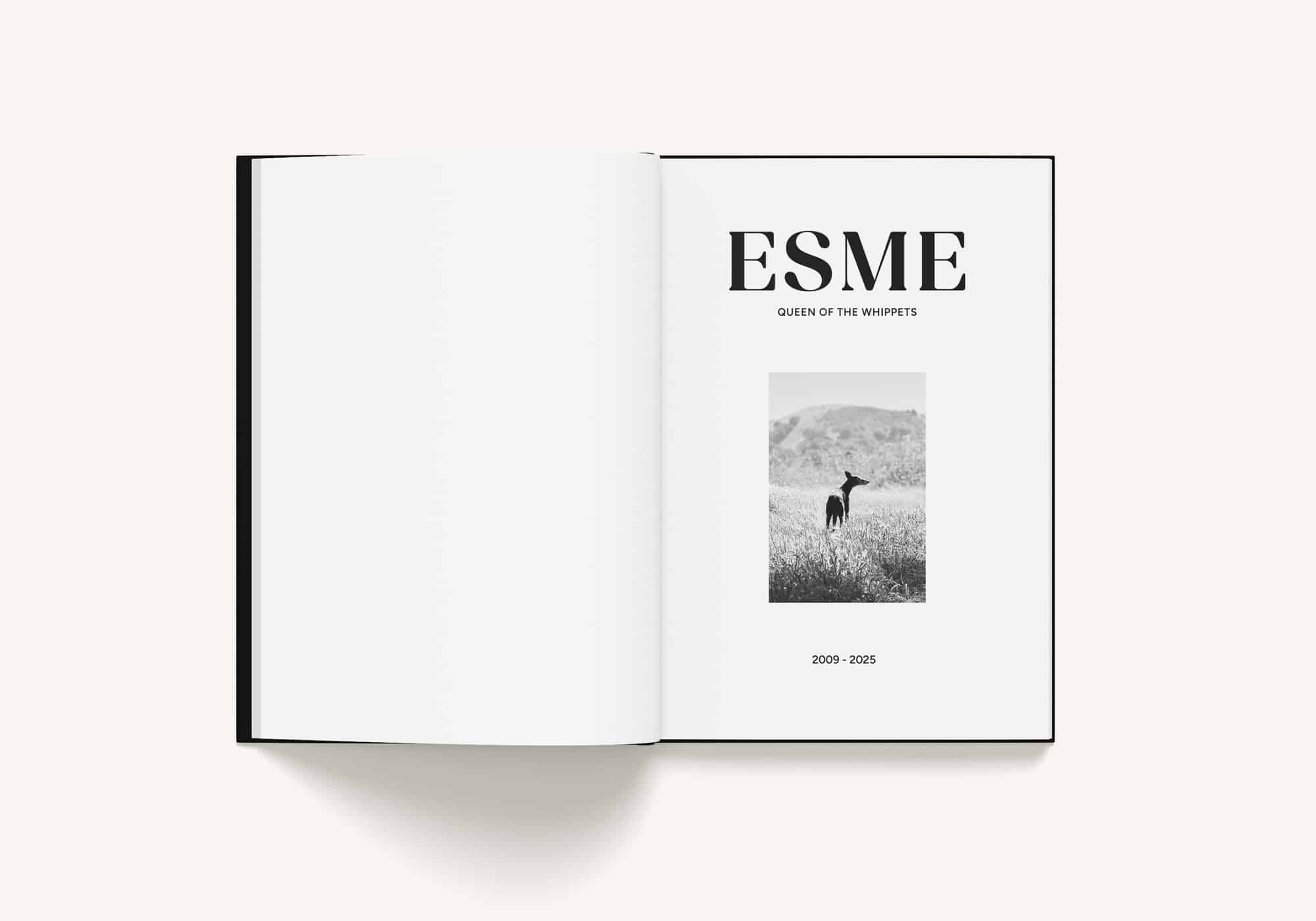 esme-book1